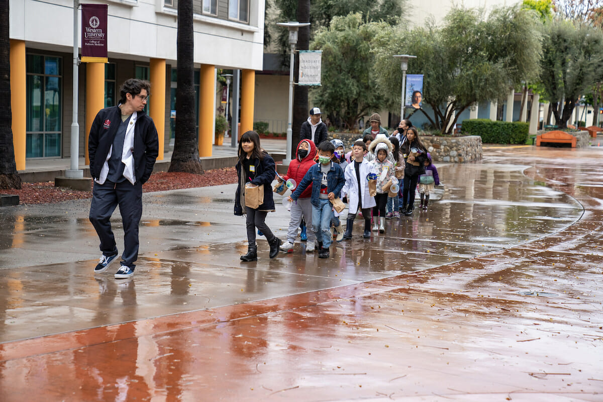 The rain didn’t stop WesternU students from mentoring and inspiring local Pre-K through high school students during Health Career Ladder