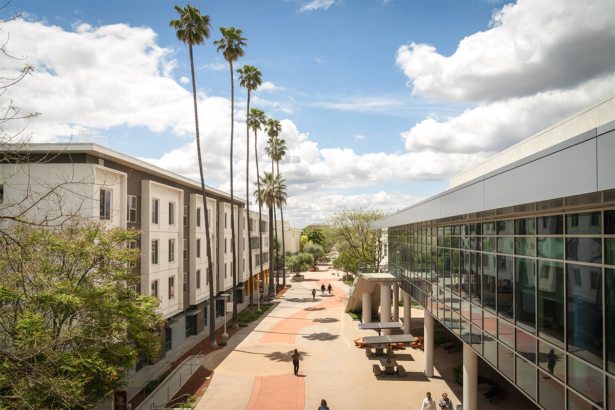 A courtyard with palm trees and buildings in the background.