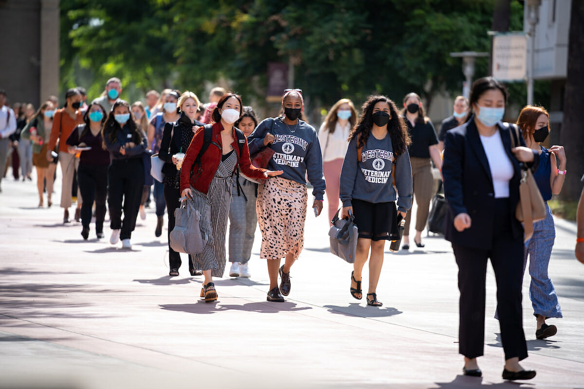 New CVM students walk the Esplanade. We love having our students back on the WesternU Pomona campus this week during Welcome Week and Welcome Back.