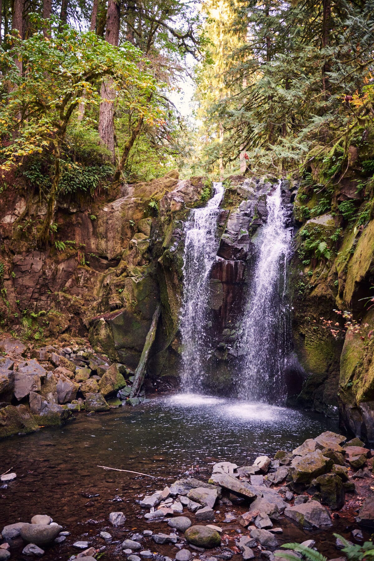 Small waterfall cascades over rocks into a shallow pool surrounded by rocks and dense green forest under daylight.