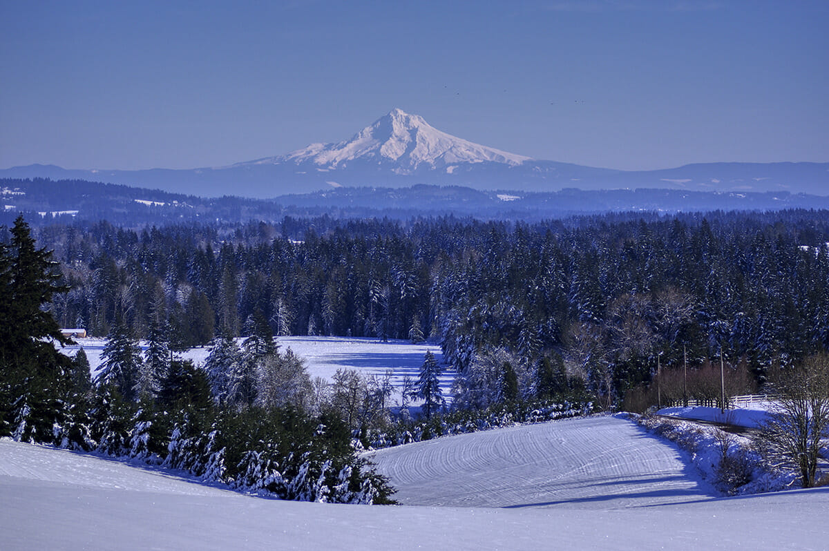 Mt. Hood WesternU Oregon