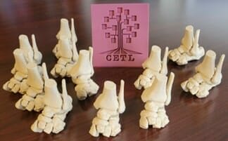 Nine anatomical foot models are arranged around a pink card with an illustration of a tree and the acronym "CETL.