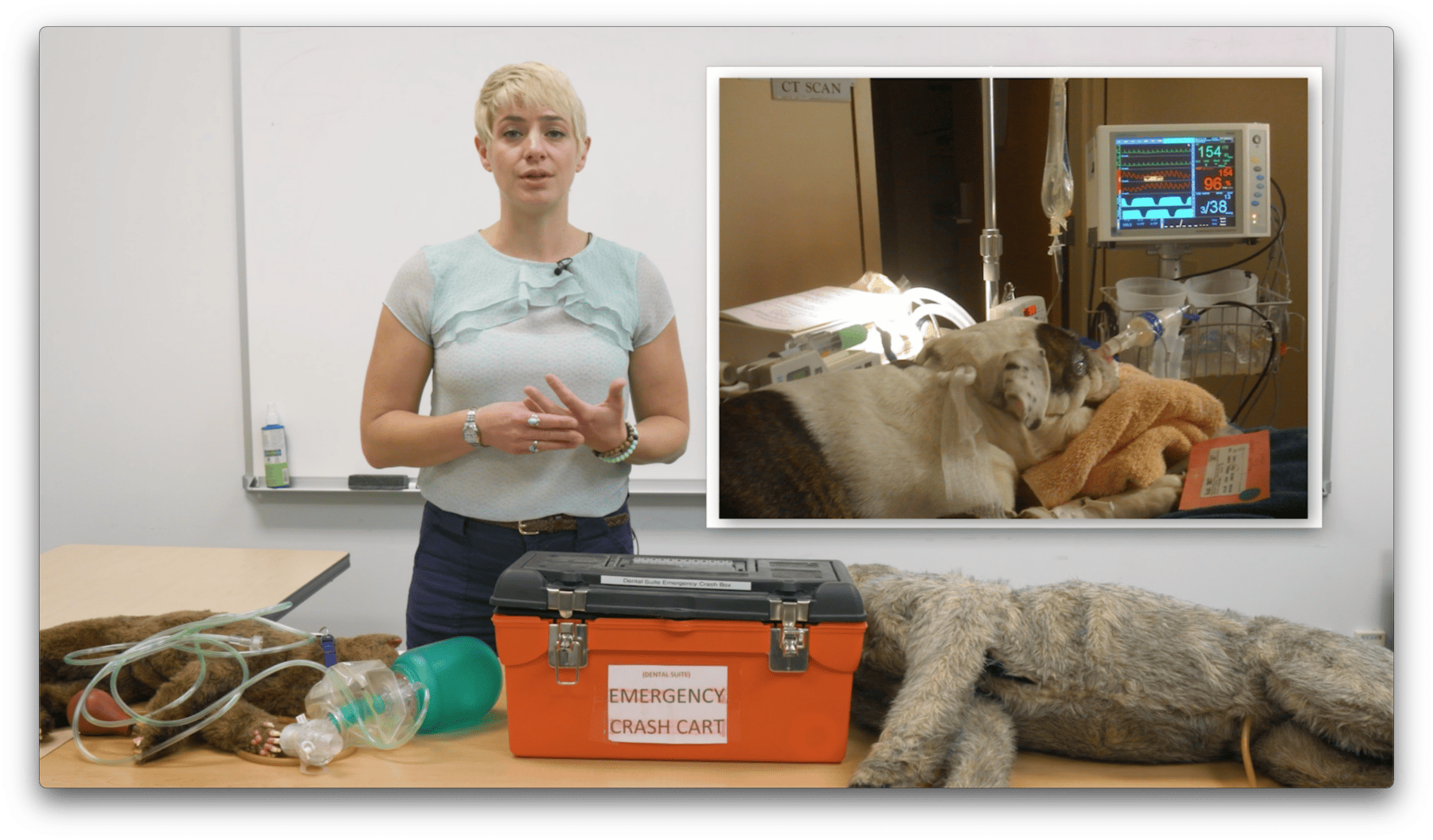 A person stands by a table with medical supplies and an emergency crash cart. Inset shows a dog connected to medical monitors, resting on a table.