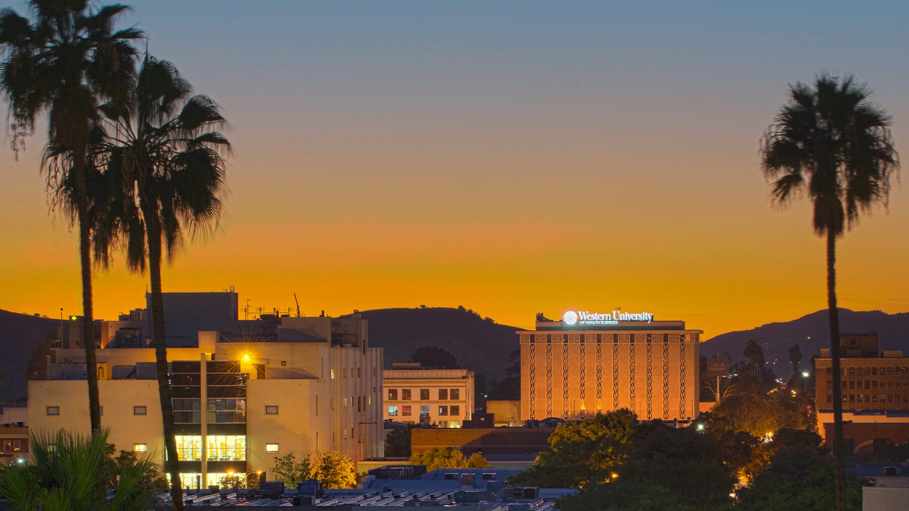 Sunset view over a city with a building displaying "Western University" in the distance, silhouetted palm trees in the foreground, and a gradient sky transitioning from orange to blue.