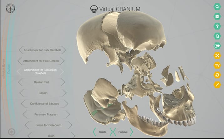 3D virtual model of a human cranium with labeled sections, displayed on a digital interface.