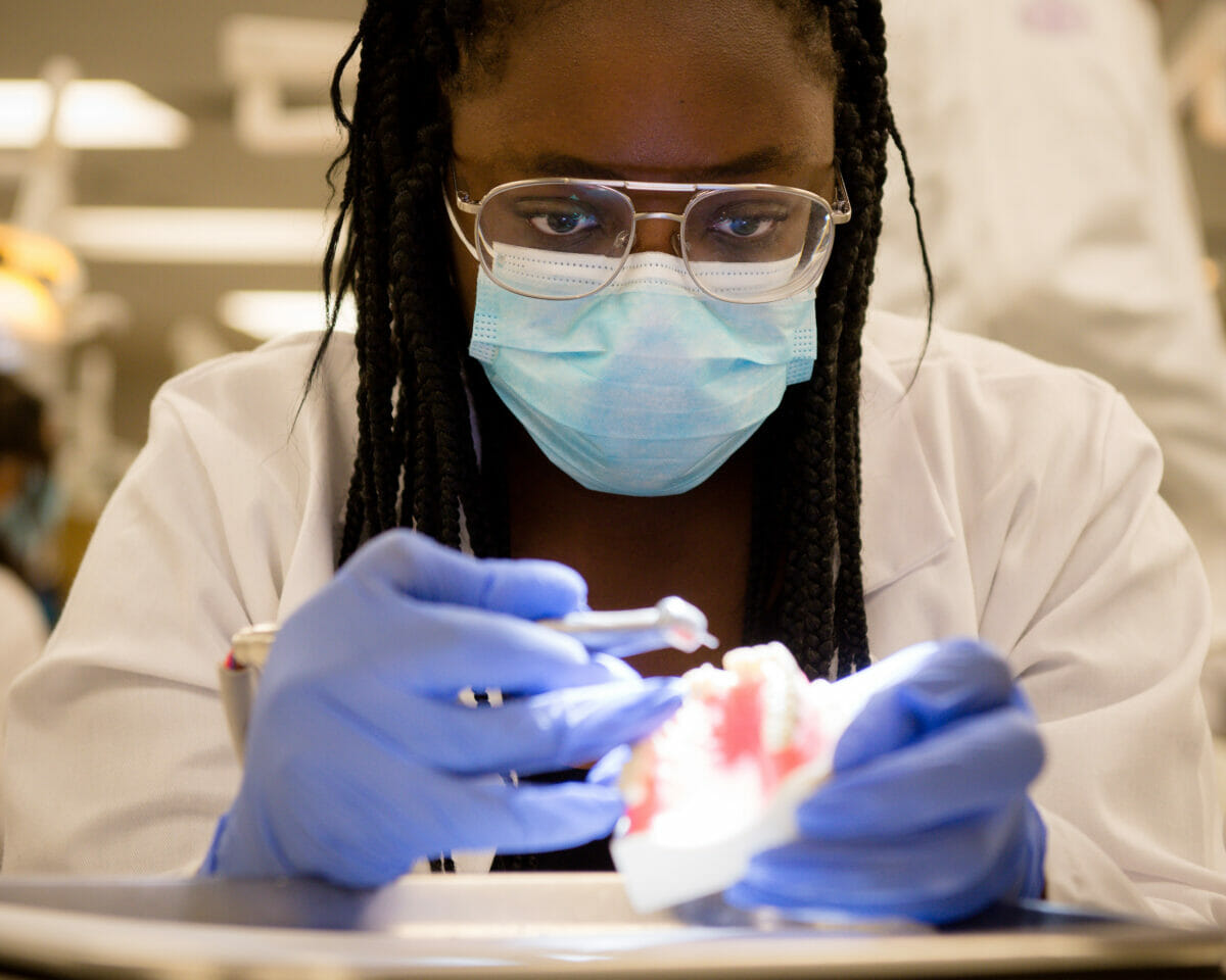 Dental student with dental mold