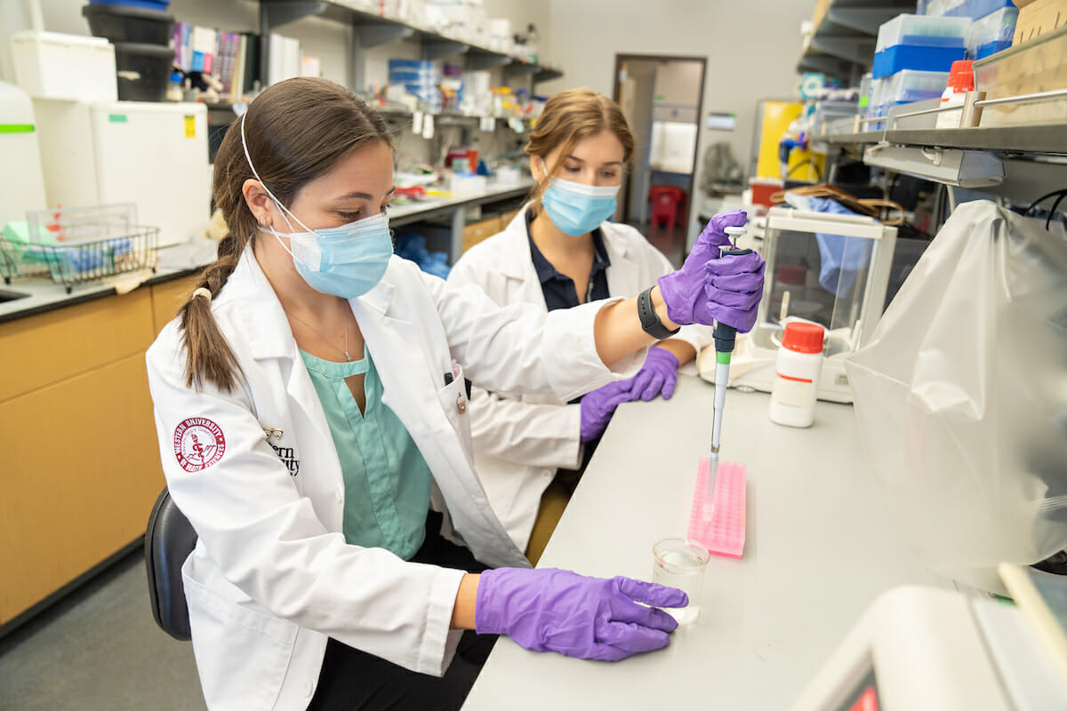 First-year CDM student Lauren Berard uses the pipette in the CDM Research Lab at WesternU