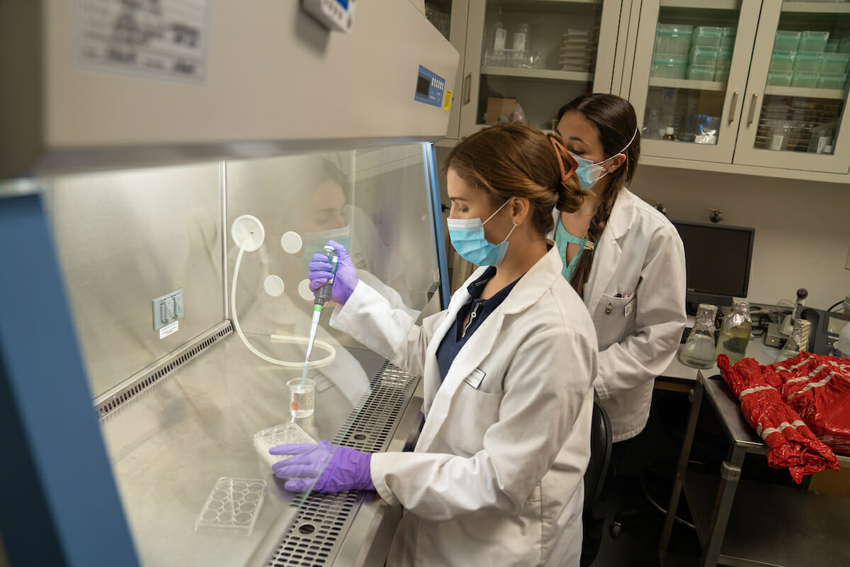 First-year CDM student Alex Graeve uses a pipette in the CDM Culture Room at fellow student Laurne Barad watches.