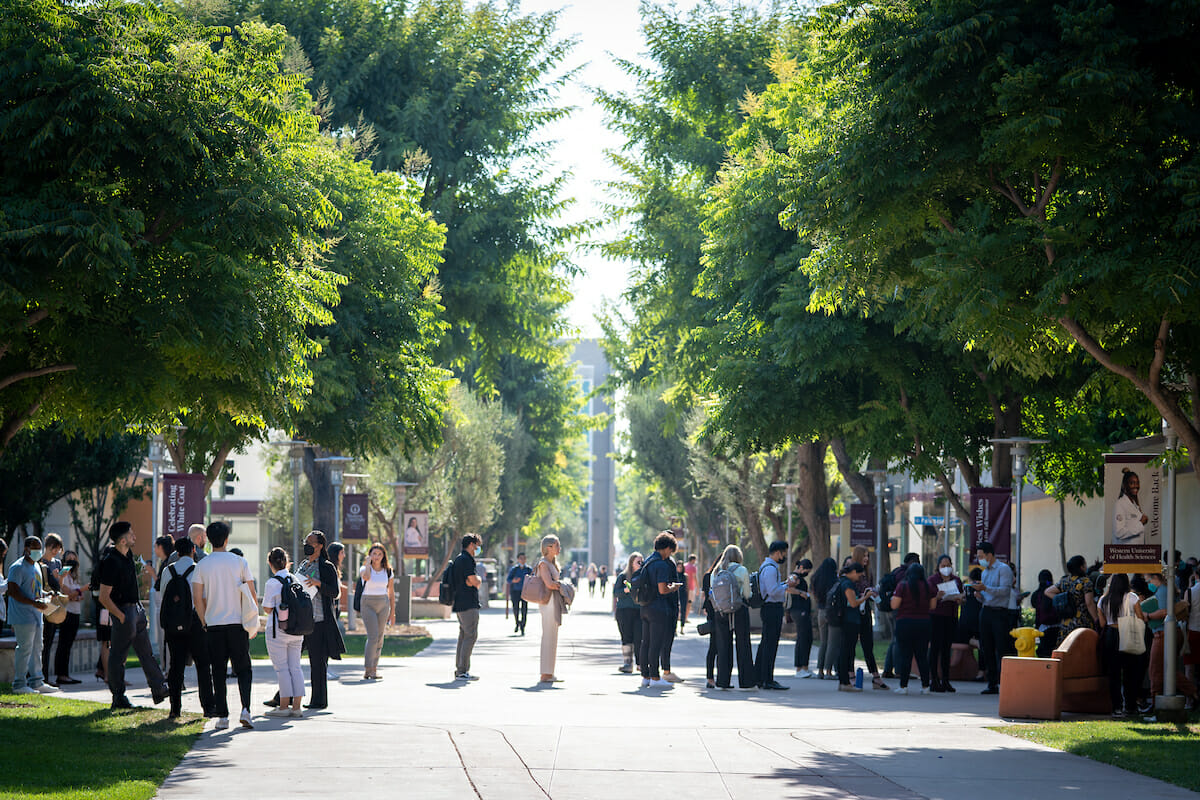 Students congregating on esplanade