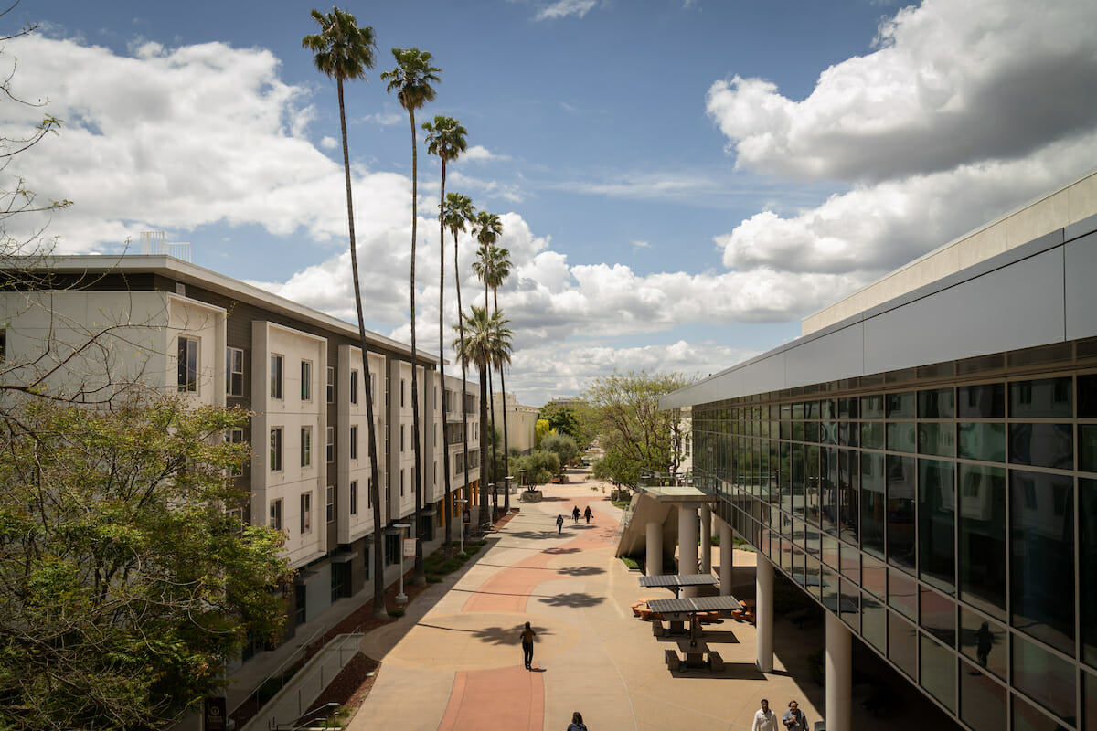 Campus buildings, esplanade, palm trees.