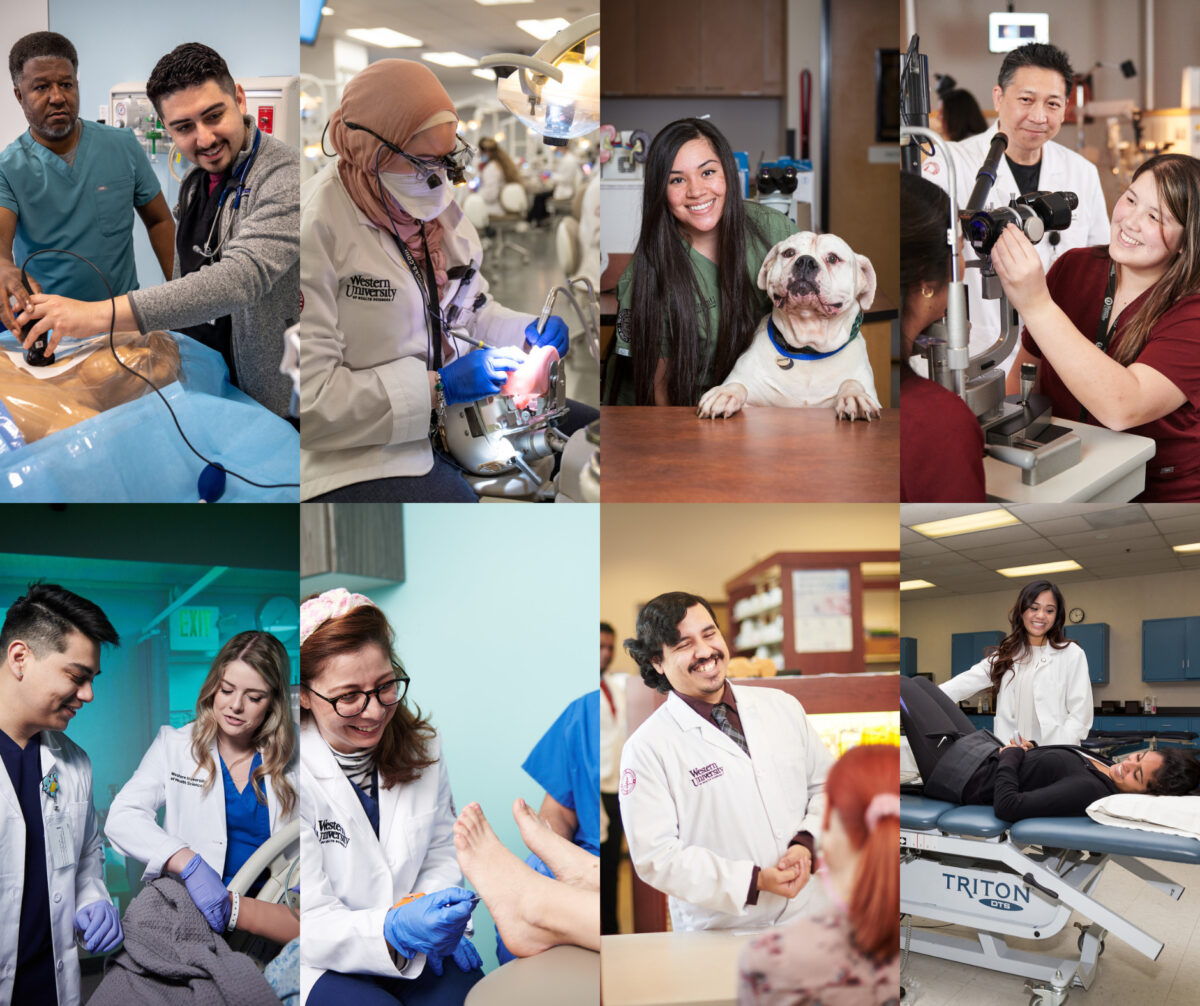 A collage of pictures of people working in the medical field.