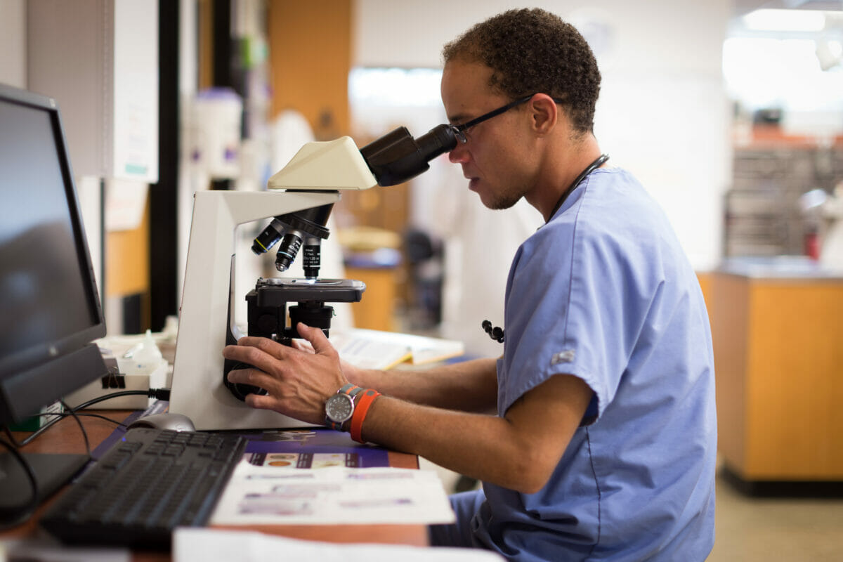 microscope, computer.