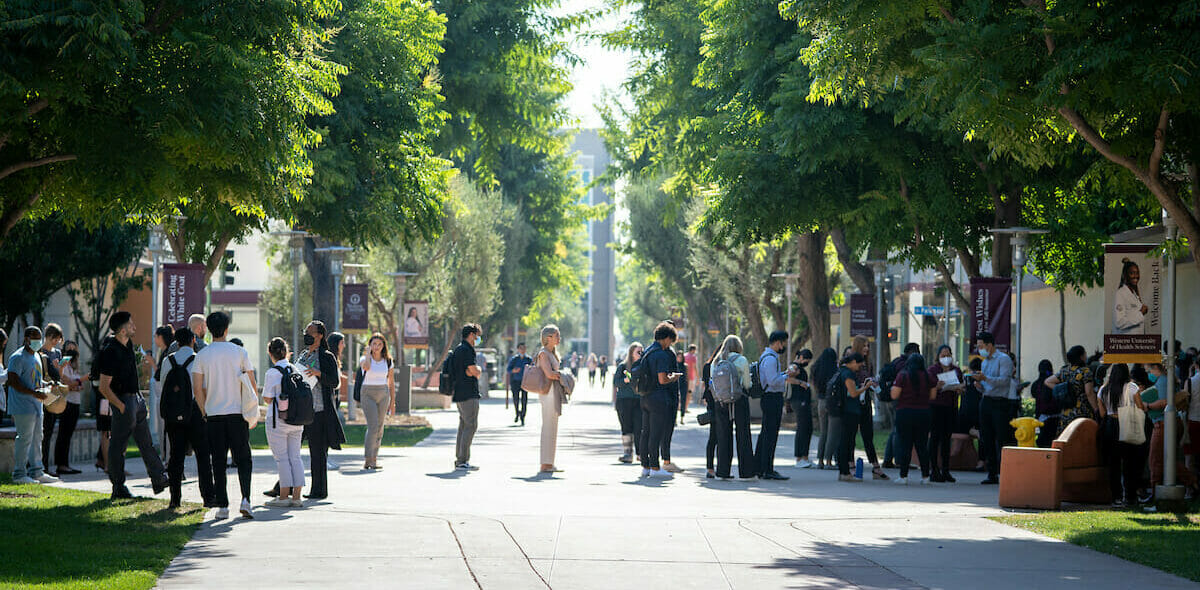 Students, faculty, and staff congregating on esplanade.