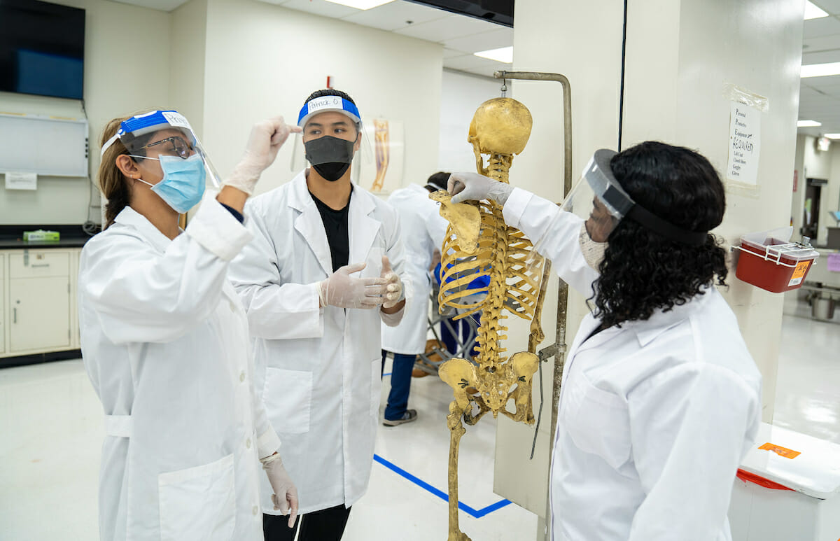 First-year physical therapy (PT) and physician assistant (PA) students from the College of Health Sciences