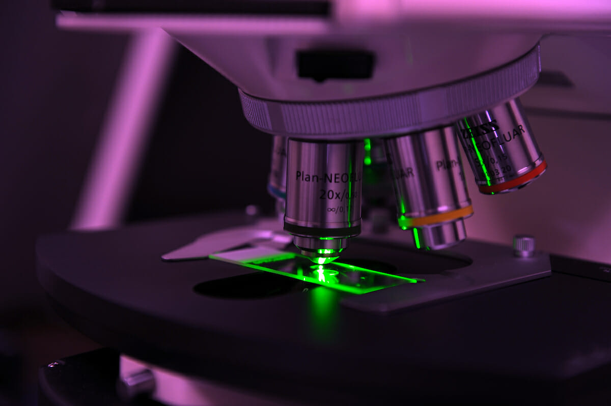 Associate Professor of Physiology Department of Basic Medical Sciences, COMP studies the synaptic and hormonal determinants underlying the hypothalamic control of energy balance. Photos are in part for the Western Diabetes Institute