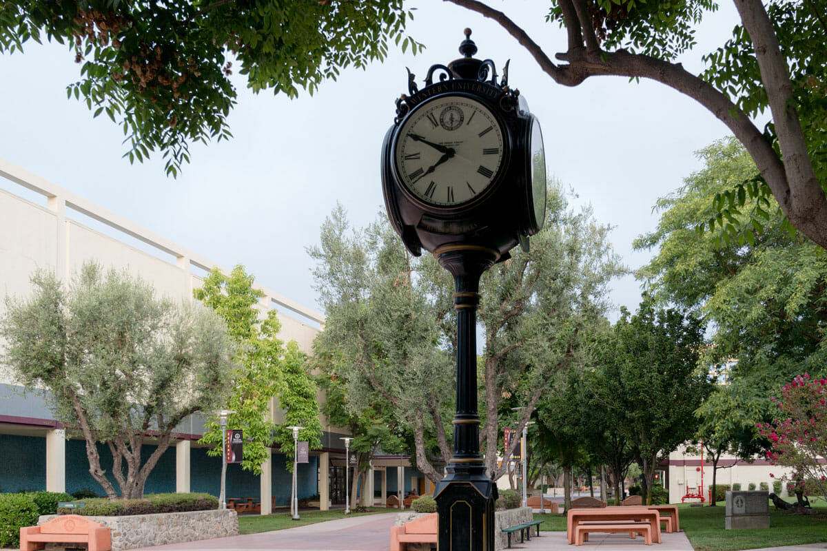 a clock on a pole in a park.