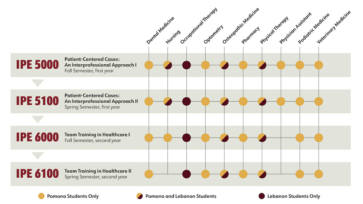 IPE Curriculum Course Flow Chart Image
