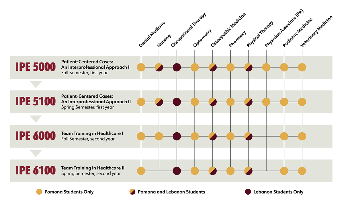 Course chart showing IPE courses 5000 to 6100 across two academic years, listing disciplines like Nursing, Pharmacy, and public health, indicating student participation from Pomona and Lebanon.