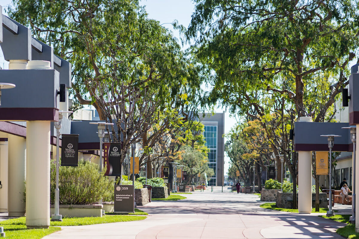 City street, trees, benches, buildings.