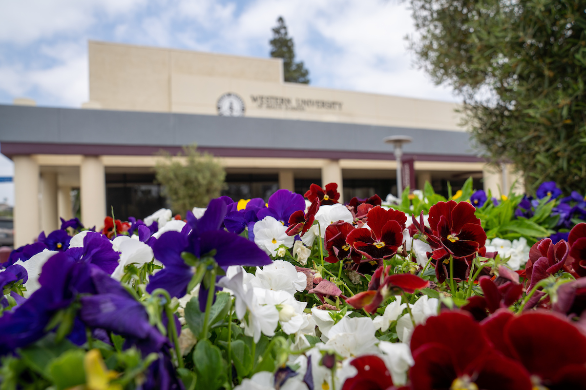 Flowers, building.