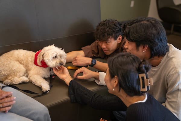 Three people pet a small white dog wearing a red harness as it sits on a couch.