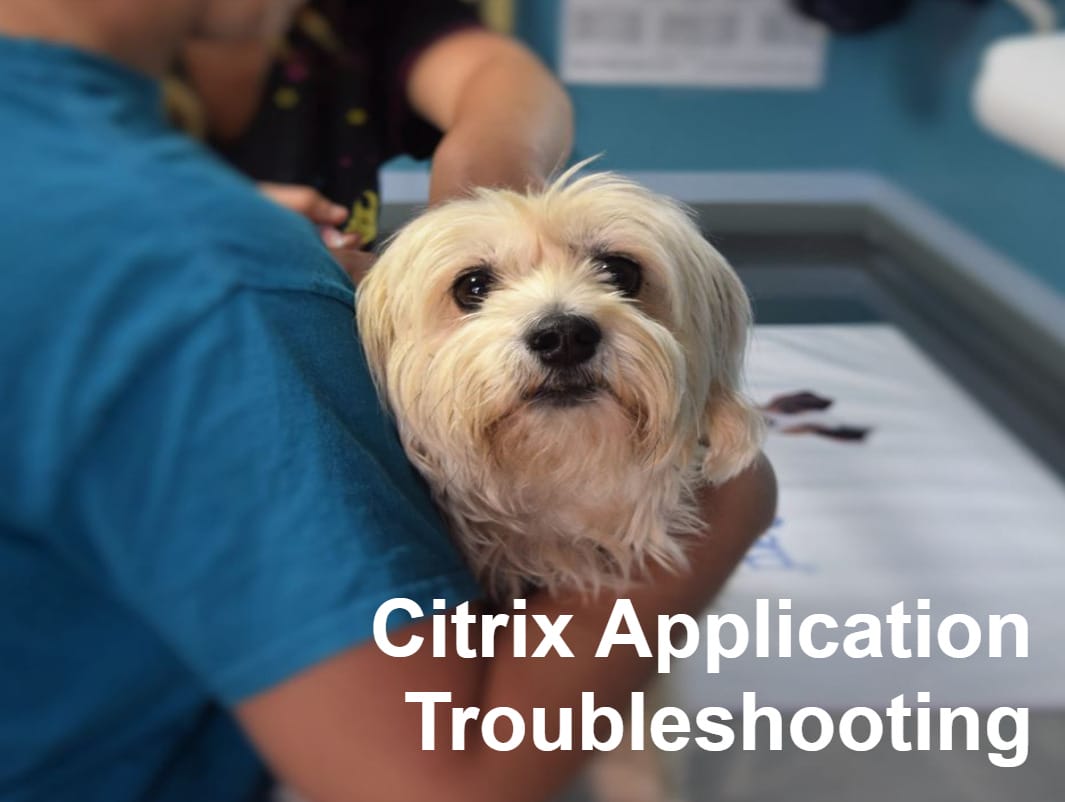 A small dog being held by a person in a veterinary or grooming setting; the text reads "Citrix Application Troubleshooting.