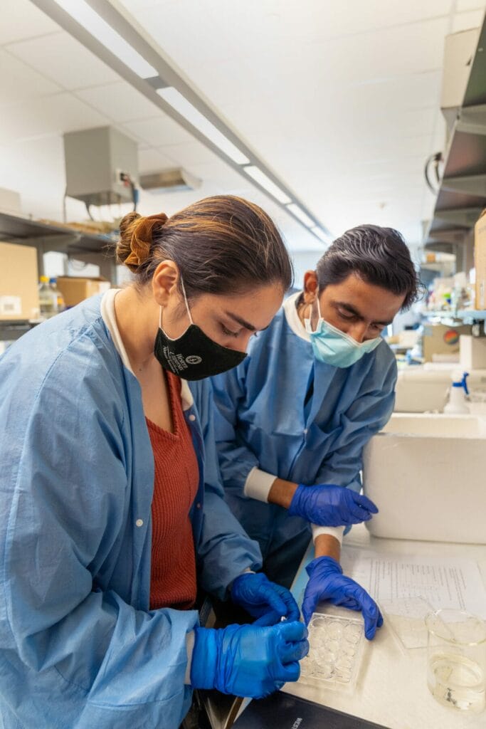Two scientists wearing masks and gloves work together in a laboratory. One is handling a tray of samples while the other examines a set of equipment notes. Both are dressed in lab coats.