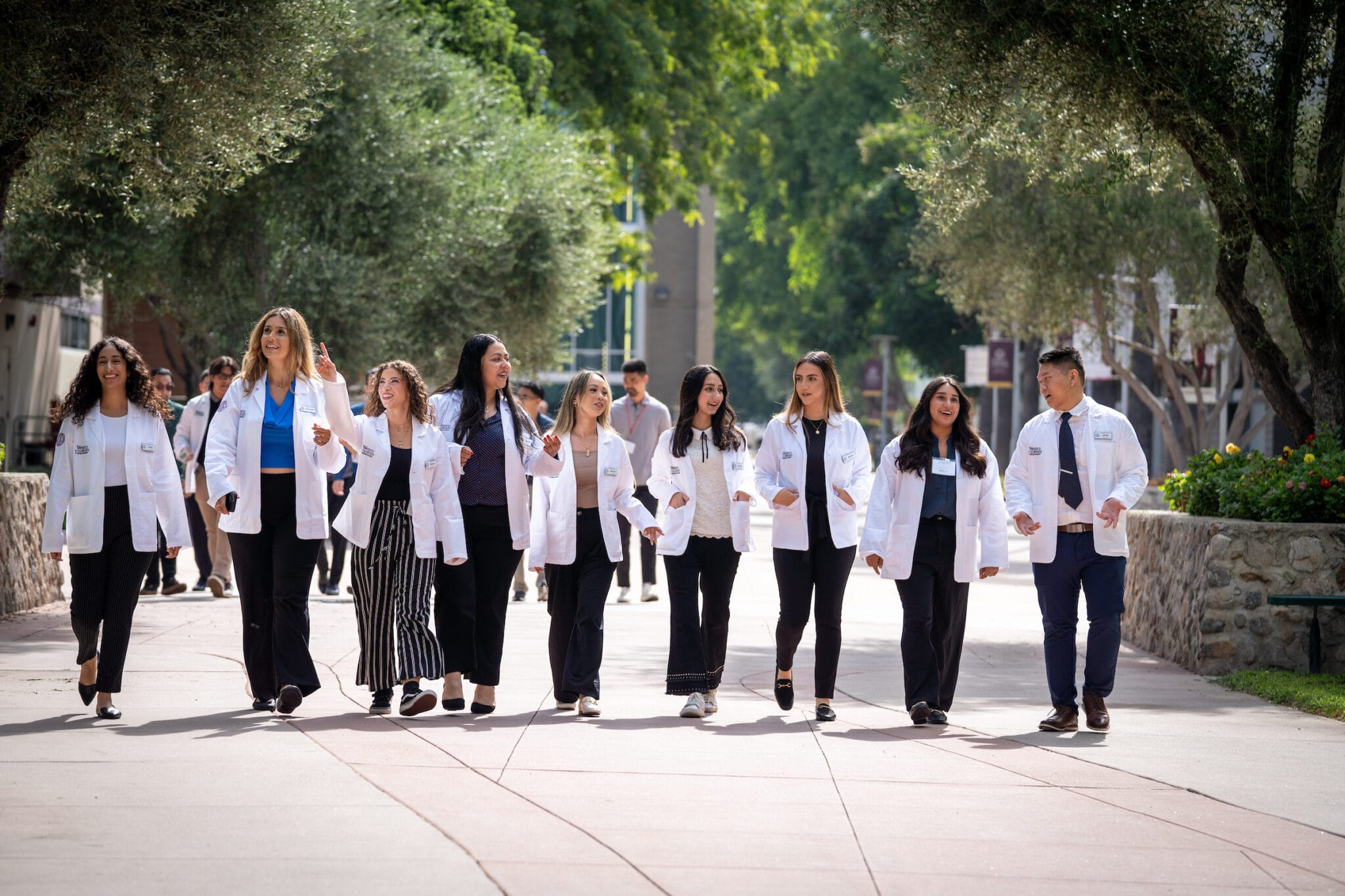 A group of people wearing white lab coats walk together outdoors on a pathway lined with trees and greenery.