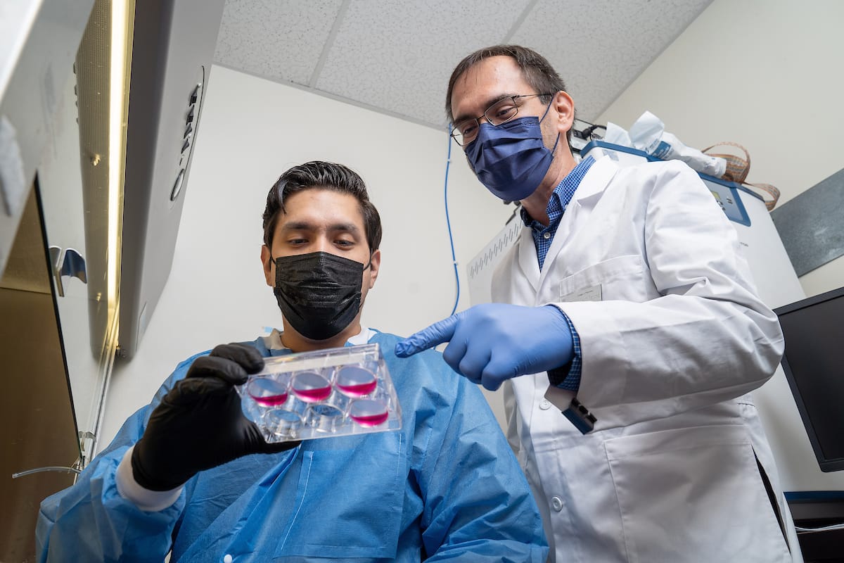 Two scientists wearing masks and lab coats examine a tray with red liquid samples in a laboratory setting. One holds the tray while the other points to it.