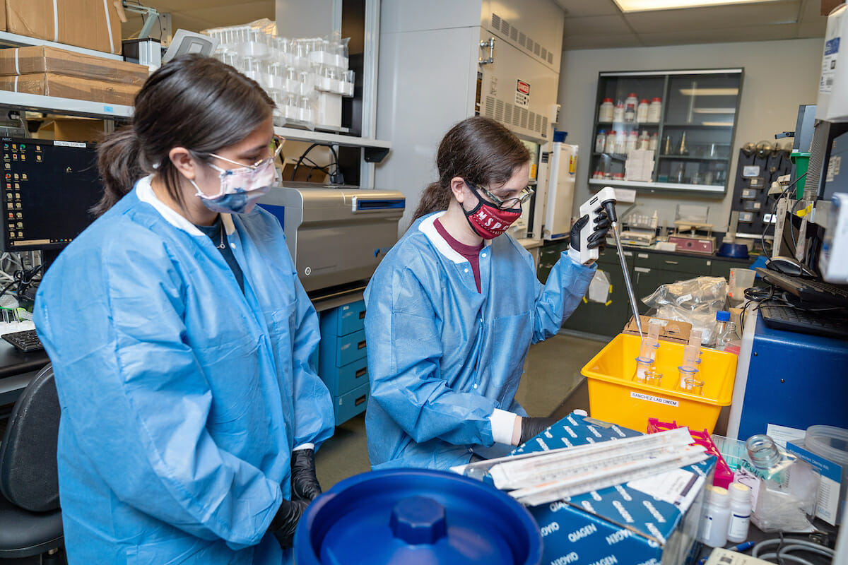 Two women scientists in lab coats conducting experiments.