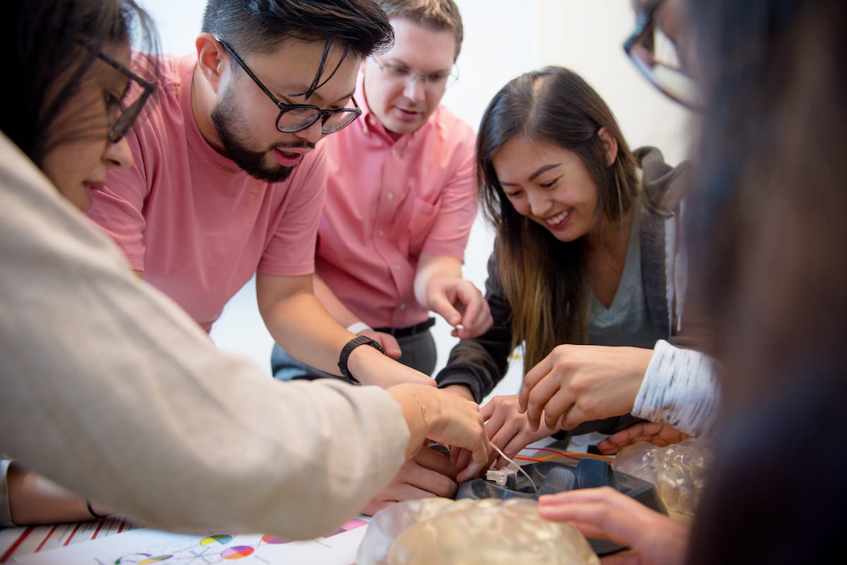 A group of people work collaboratively on a hands-on activity involving anatomical models, focusing intently on the task.