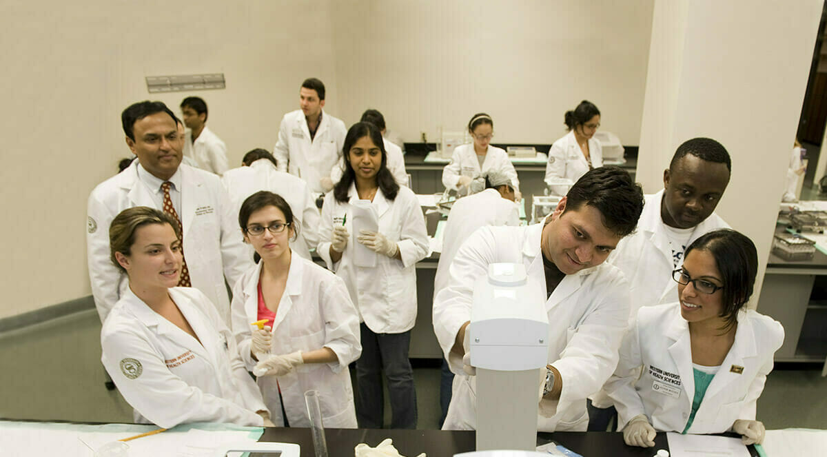 Professional Development Lab during a compounding class