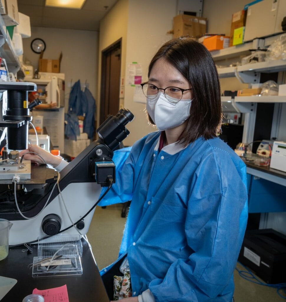 A person wearing a lab coat and face mask is using a microscope in a laboratory filled with scientific equipment and supplies.
