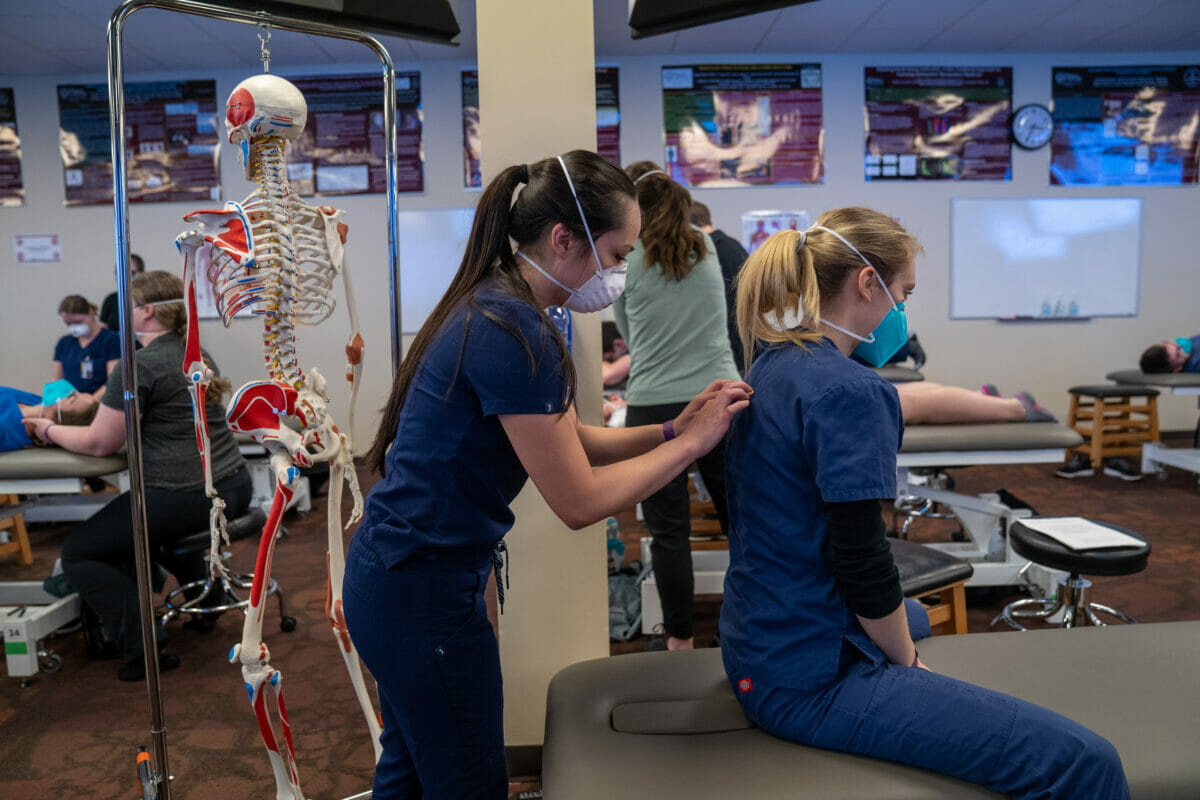 students, skeleton