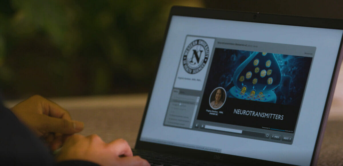 Close up of laptop screen