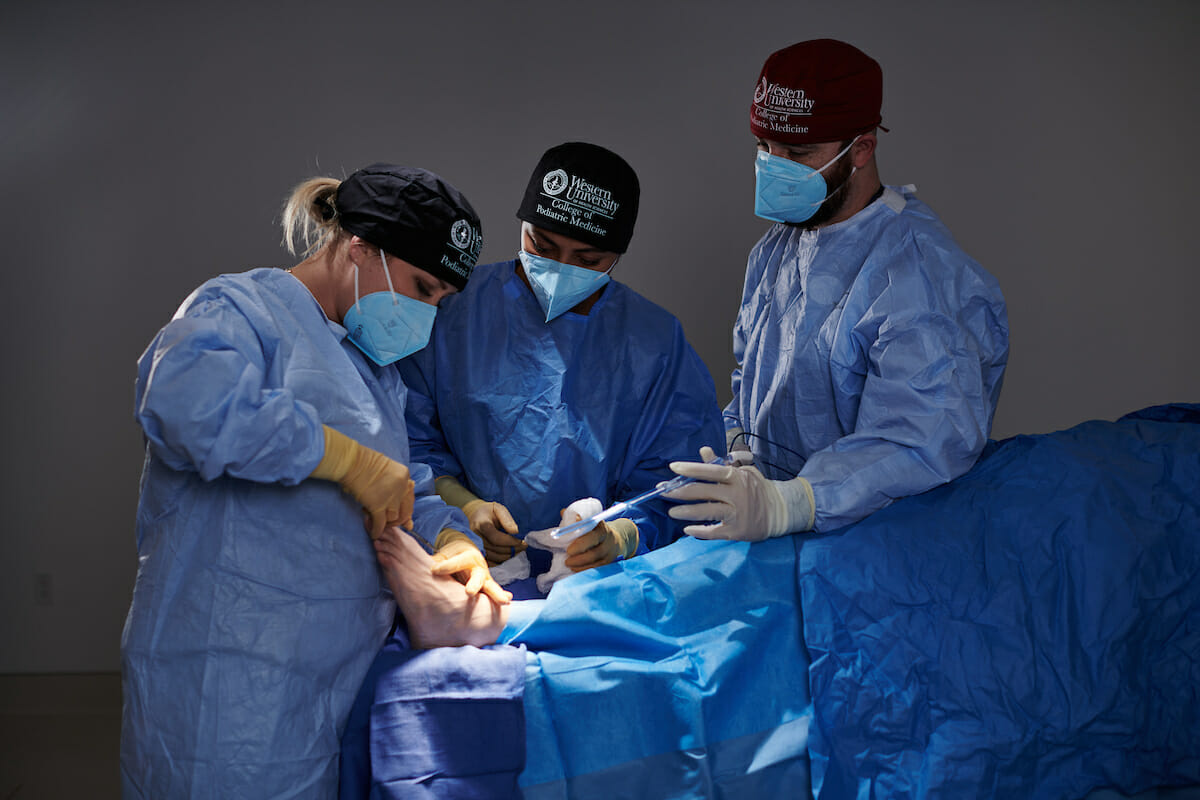 a team of doctors performing surgery