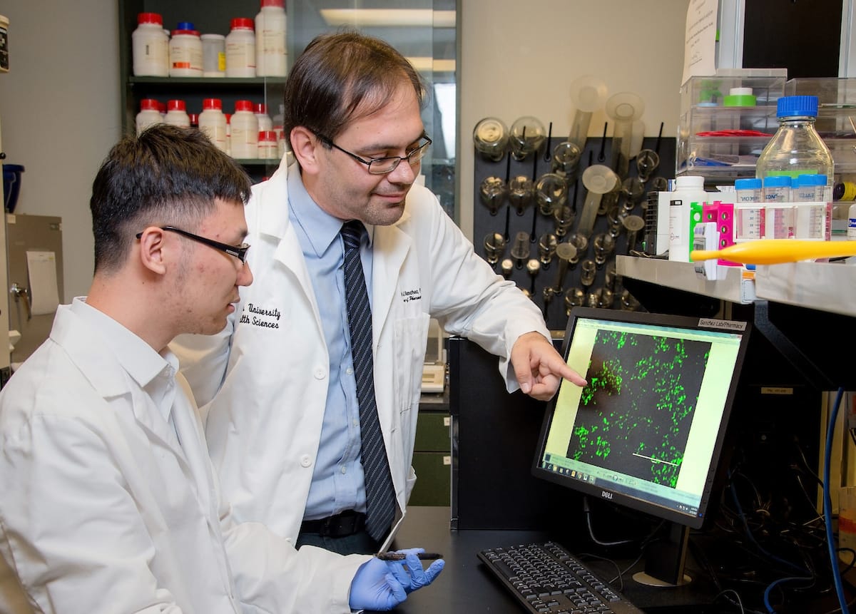 Two scientists in lab coats analyze green cell structures on a computer screen in a laboratory. One is pointing to the screen, guiding the other in understanding the data.
