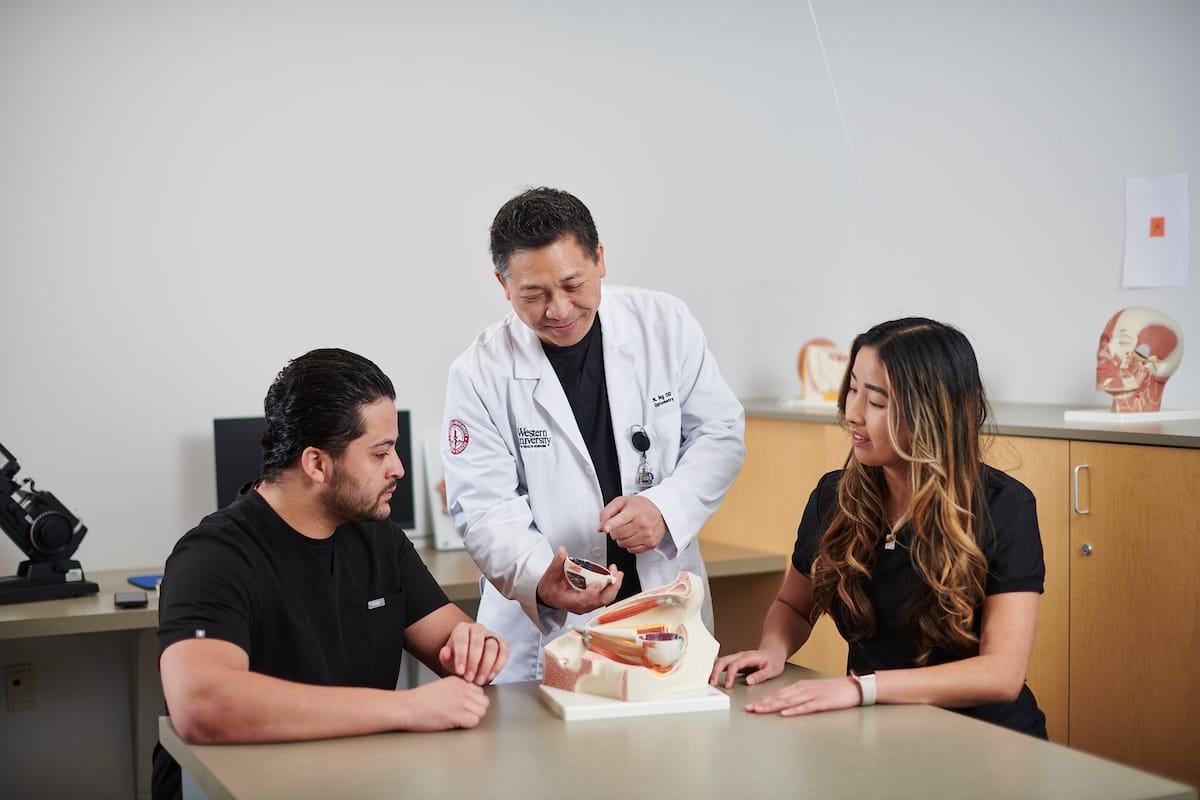 A doctor demonstrates with a medical model to a man and woman seated at a table in a classroom setting.