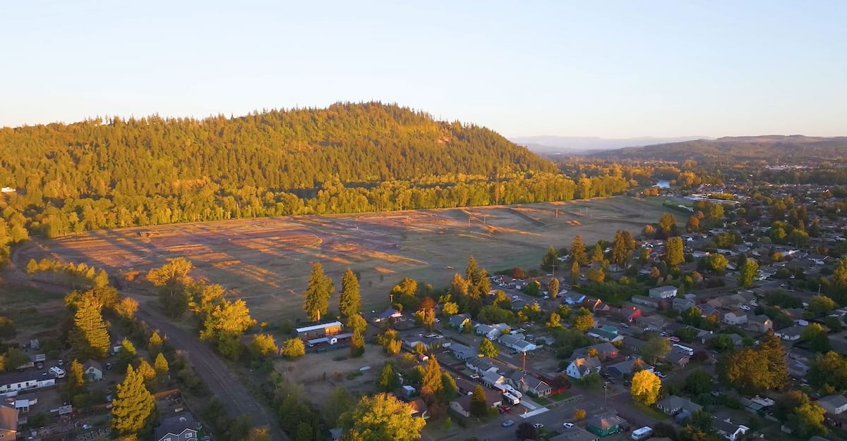 Aerial view of a grassy open field bordered by trees, with a hillside forest and residential houses under early morning or late afternoon sunlight.