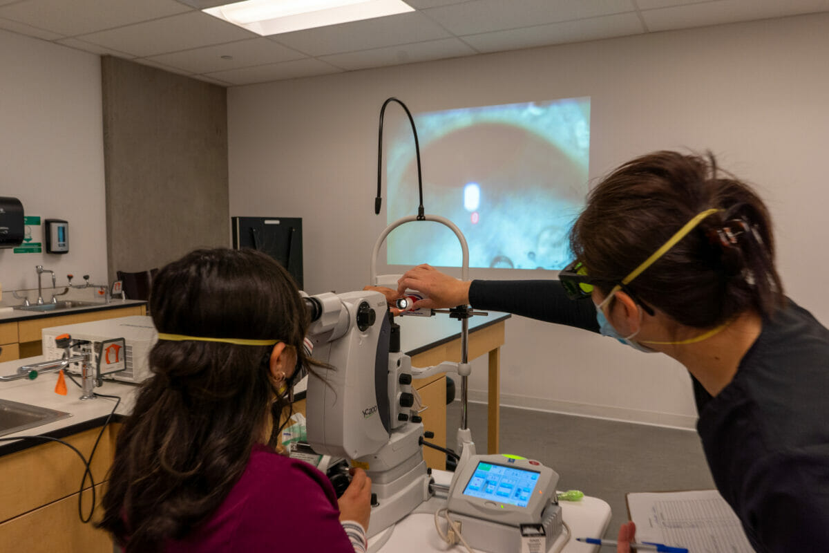 Students working with optometry equipment