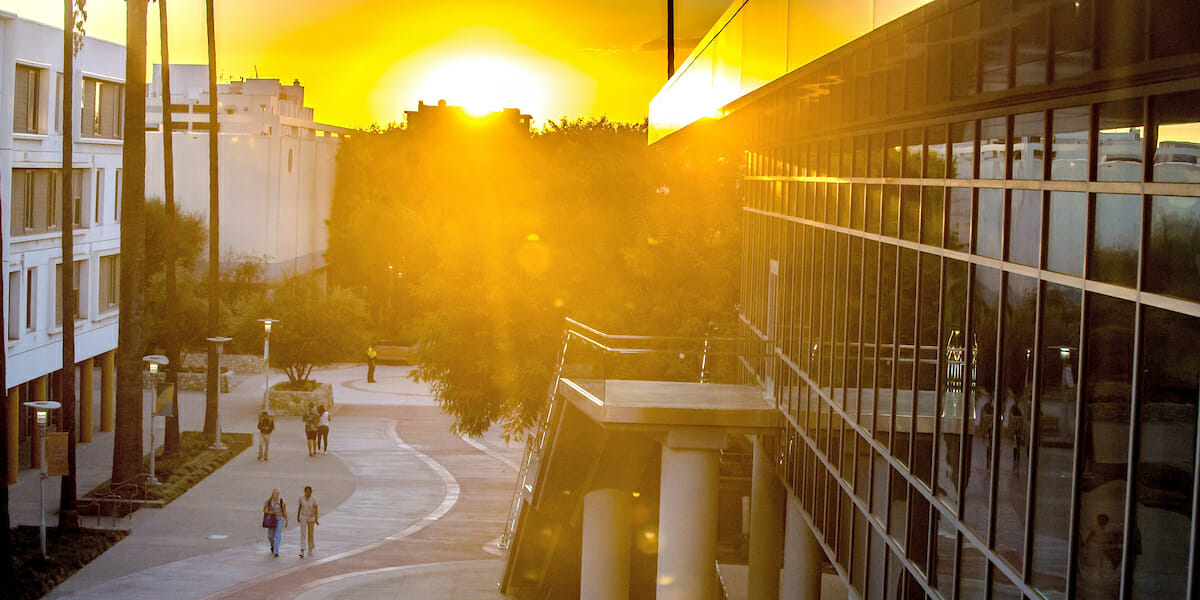 The sun sets along the Esplanade at WesternU framed by the HEC and the Daumier buildings. Photo taken