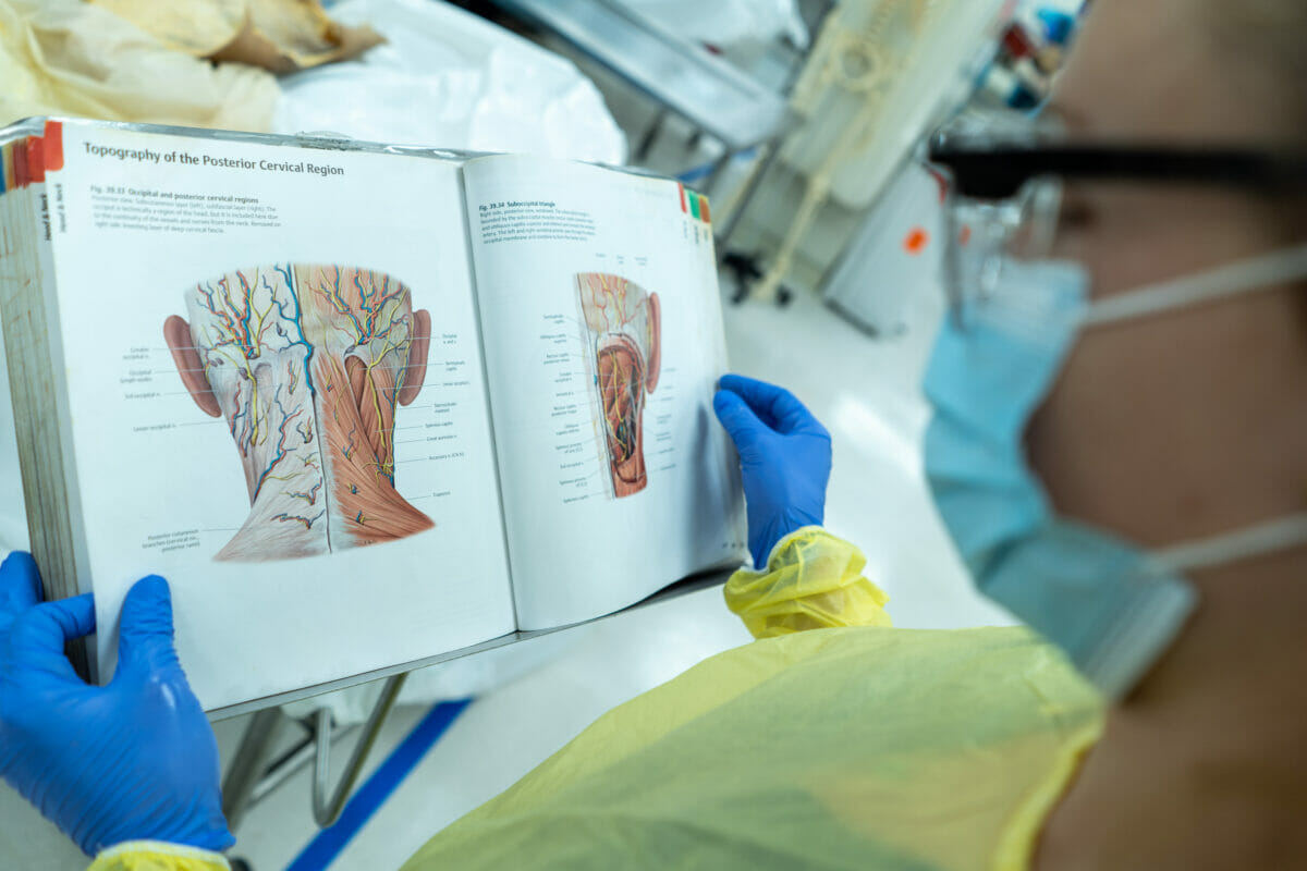 Student studying anatomy in textbook