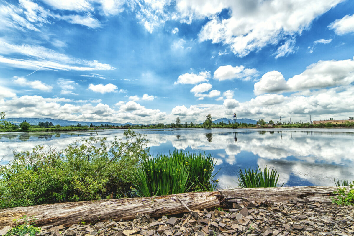 Photo of Cheadle Lake in Lebanon, Oregon