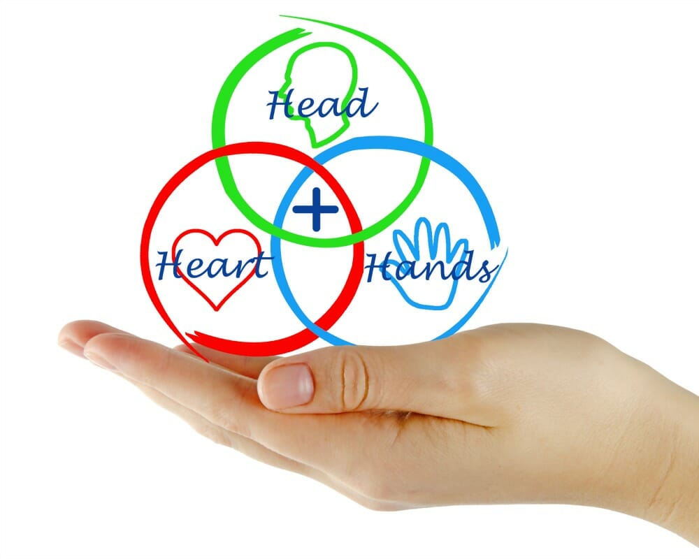 Graphic showing the 3H diagram with text reading, Head, Heart, and Hands