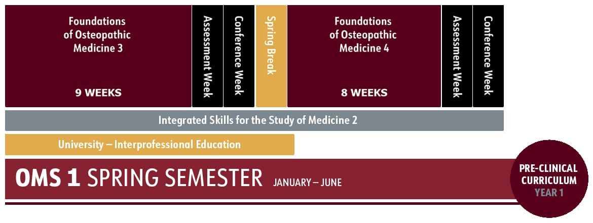 OMS 1 Spring Semester schedule showing Foundations of Osteopathic Medicine courses, assessment weeks, conference week, spring break, and integrated/interprofessional education blocks.