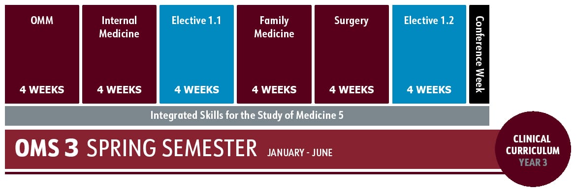 A schedule for OMS 3 Spring Semester shows seven rotations: OMM, Internal Medicine, Elective 1.1, Family Medicine, Surgery, Elective 1.2, and a conference week, each lasting 4 weeks.