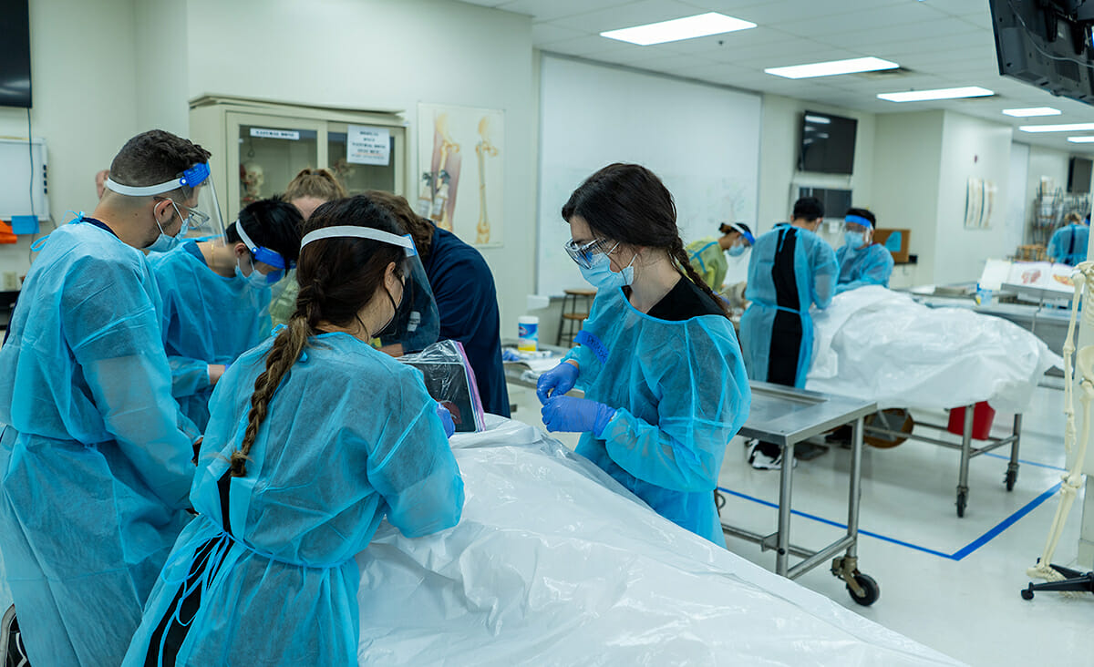 Students working in the gross anatomy lab