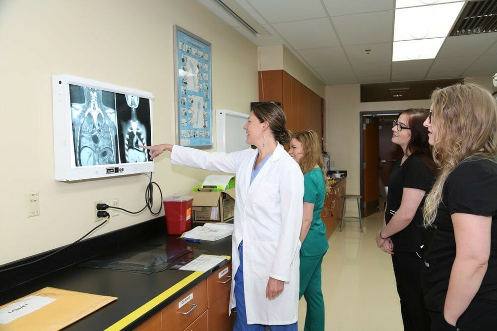 sperling3 - instructor with students, reviewing x-rays in lab