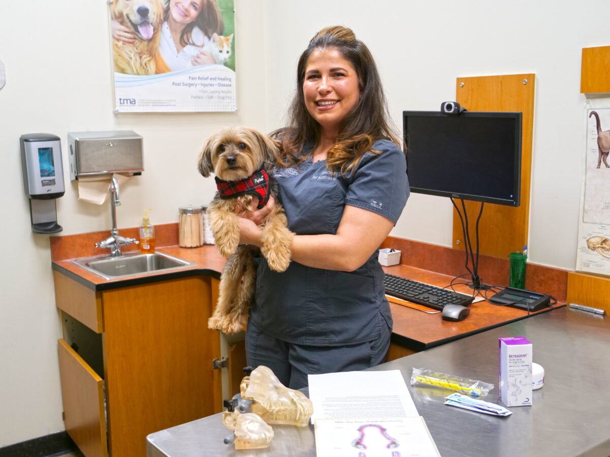 RVT holding a small dog in a clinic, with medical equipment and educational posters in the background.