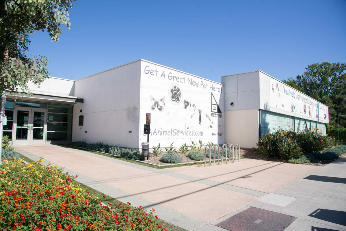 The entrance to a building with flowers and bushes.